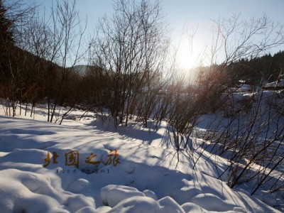 西安北国冰雪世界：梦幻冬季之旅