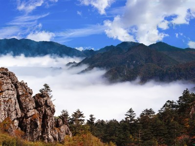 西安神农架：秘境之旅，云海奇观，草原牧歌，探寻世外桃源